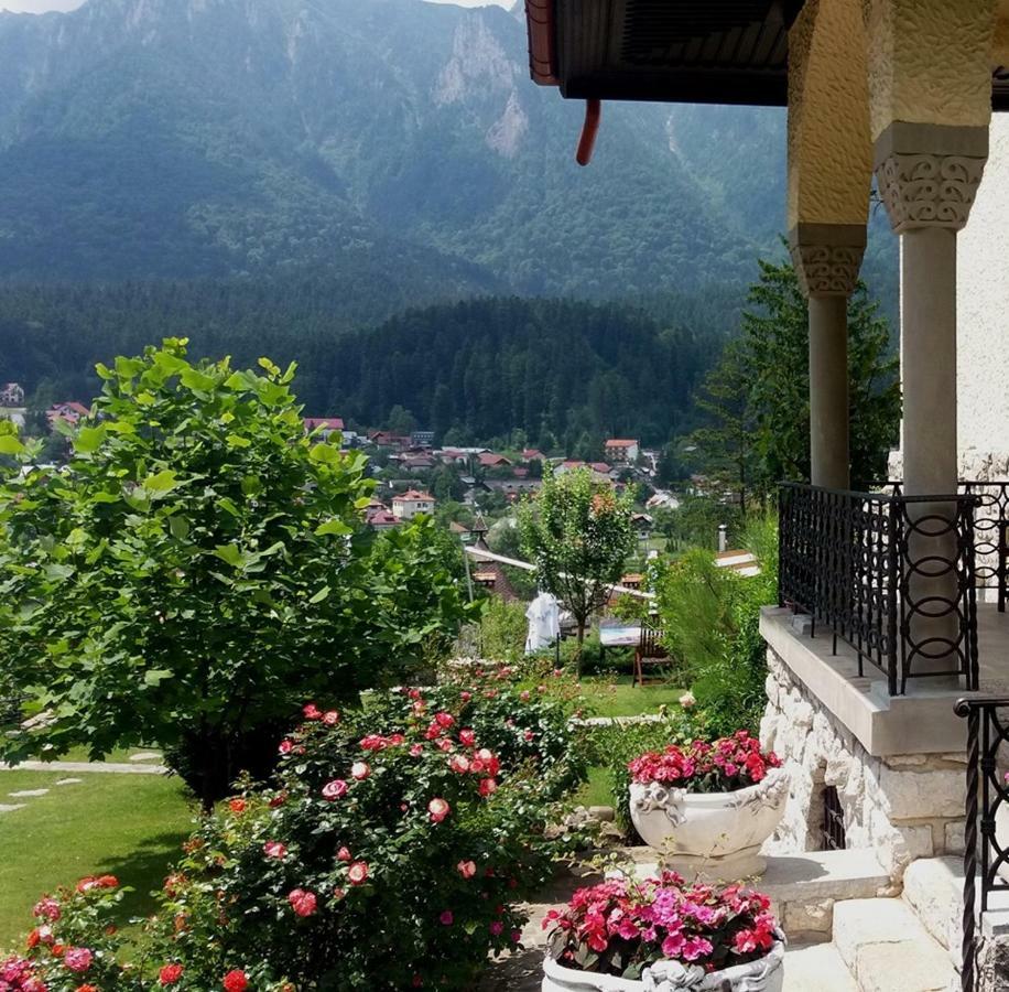 Vila Leonida - Resort Leonida Buşteni Buitenkant foto